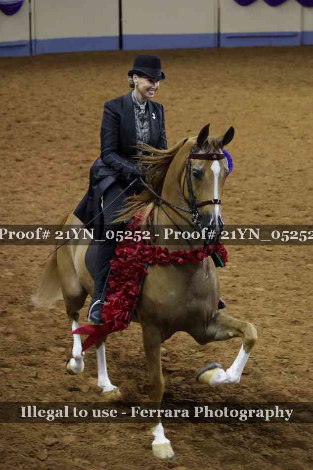 Proof 21YN_05252