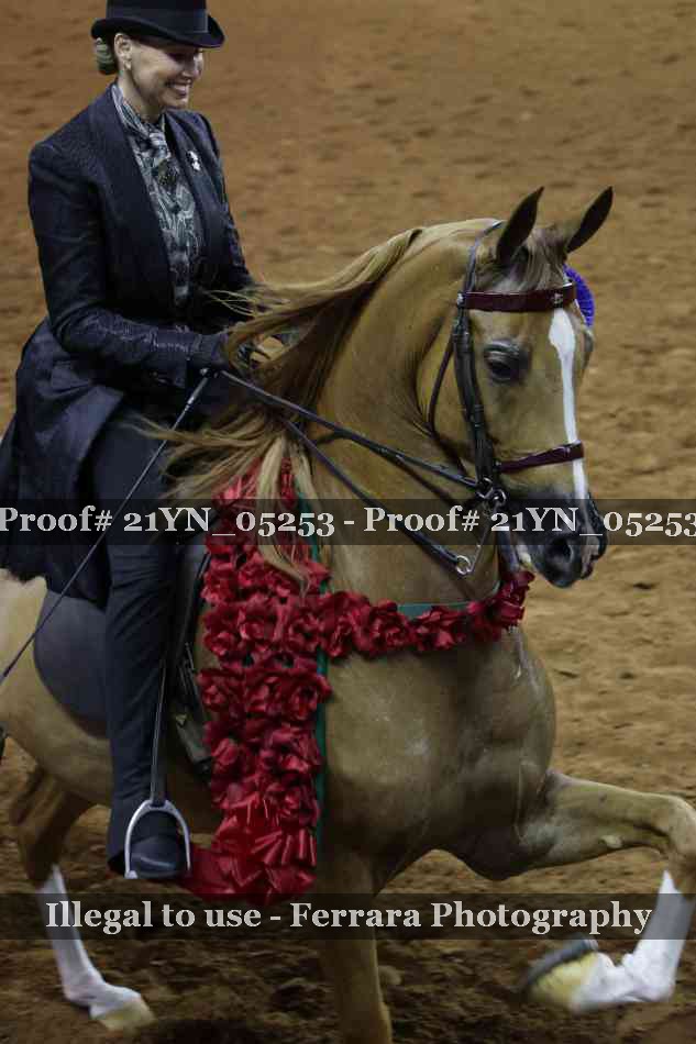 Proof 21YN_05253