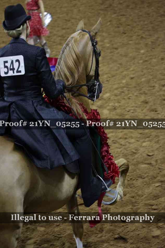Proof 21YN_05255
