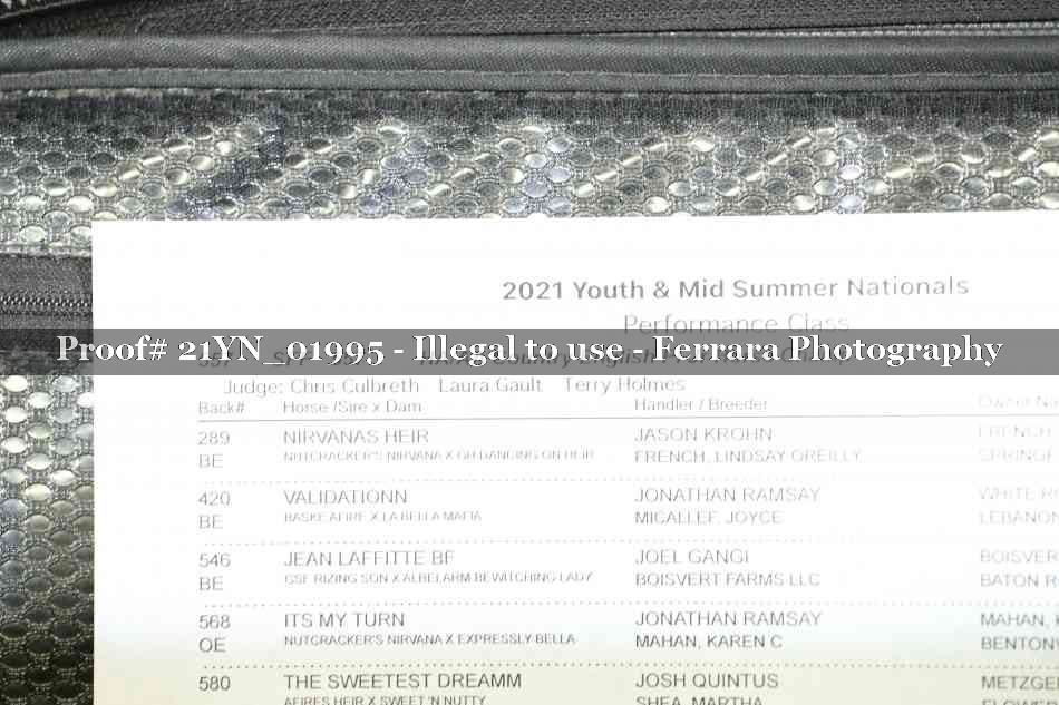Proof 21YN_01995