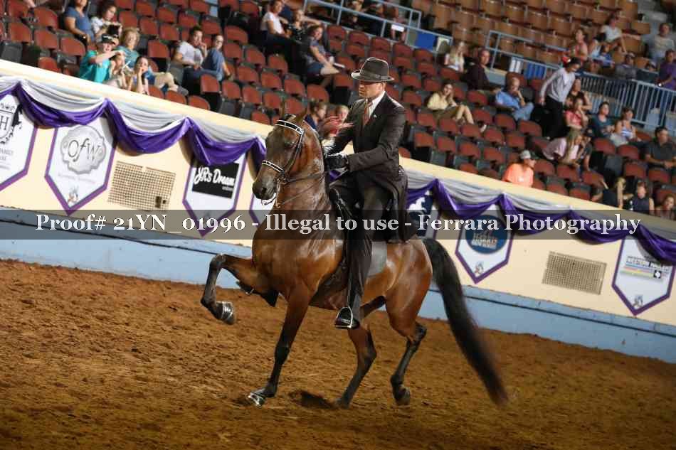 Proof 21YN_01996