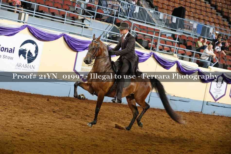 Proof 21YN_01997