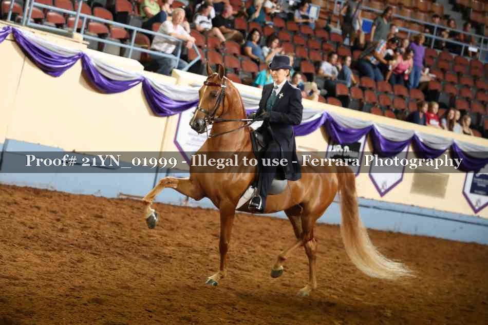 Proof 21YN_01999