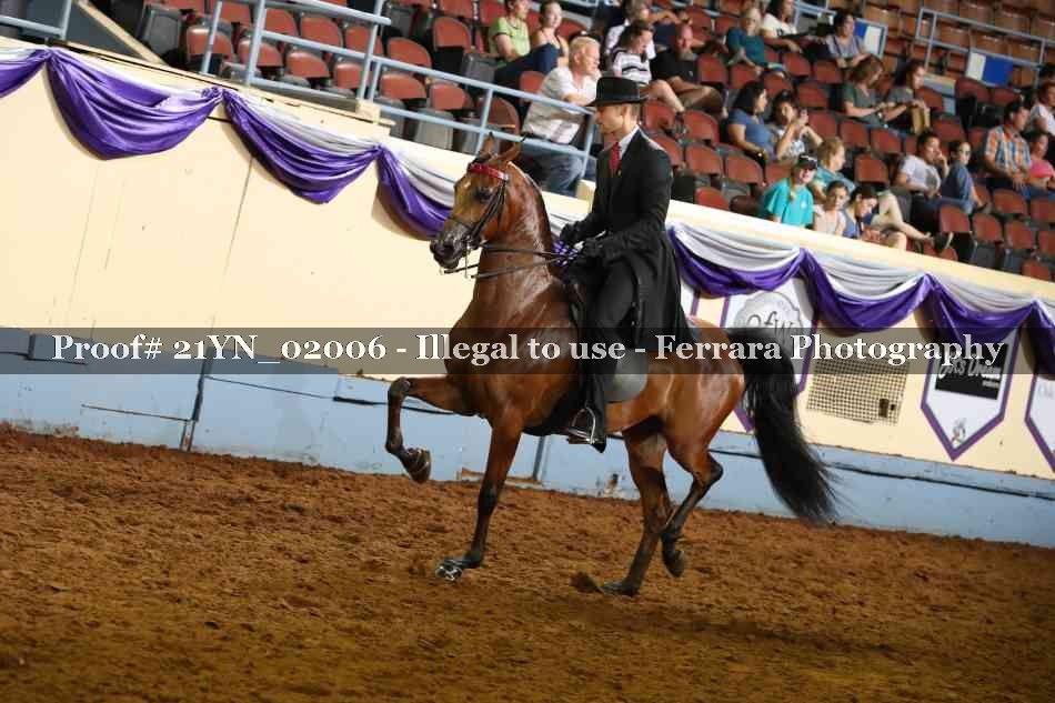 Proof 21YN_02006
