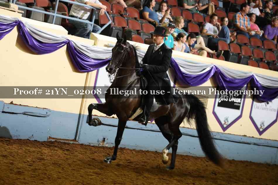 Proof 21YN_02008