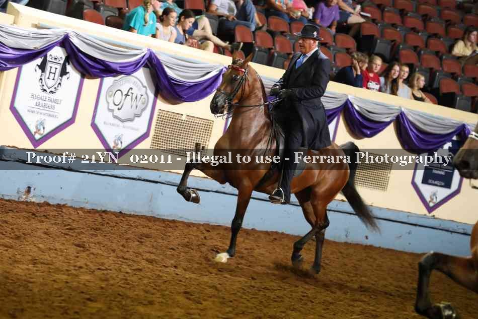 Proof 21YN_02011
