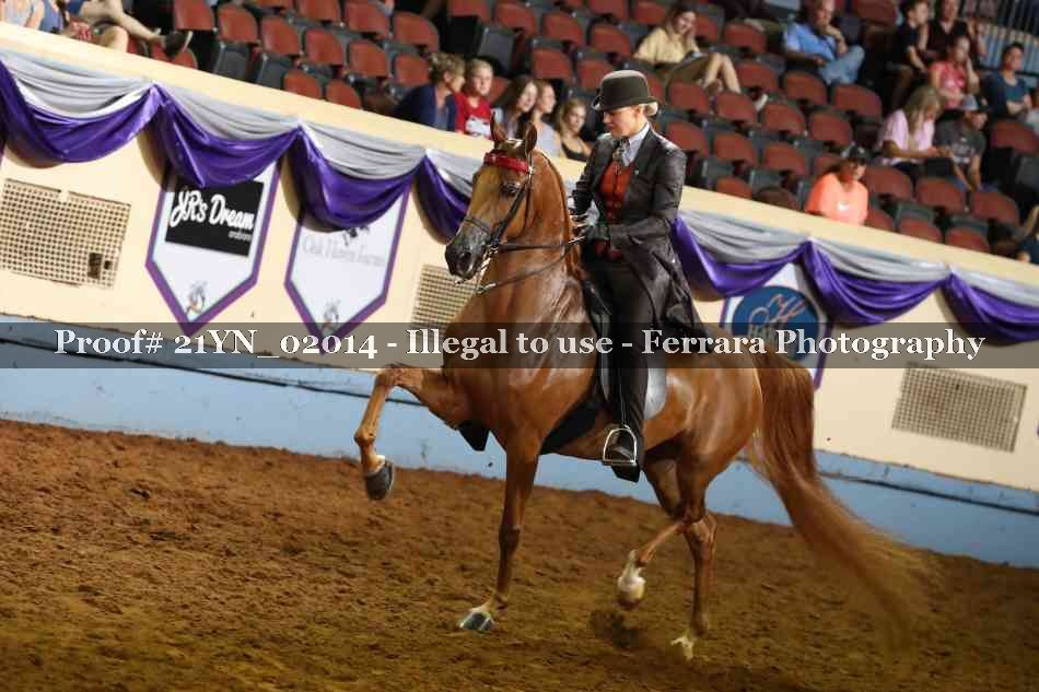 Proof 21YN_02014