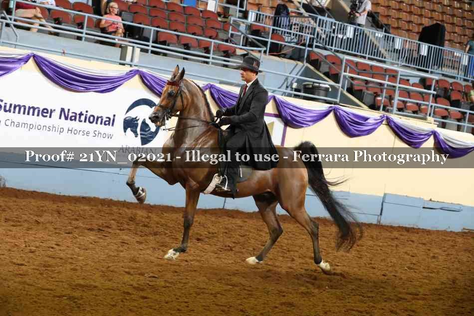 Proof 21YN_02021