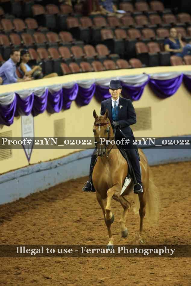 Proof 21YN_02022