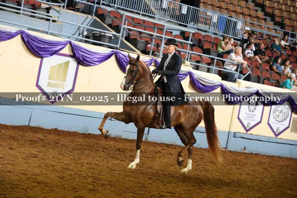 Proof 21YN_02025