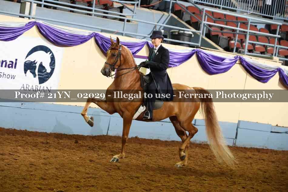 Proof 21YN_02029