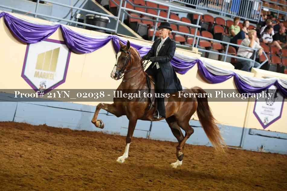 Proof 21YN_02038