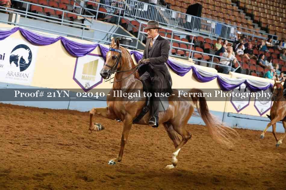 Proof 21YN_02040