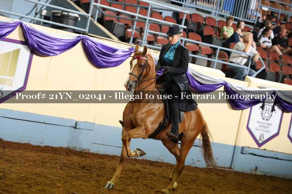 Proof 21YN_02041