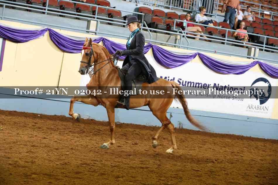 Proof 21YN_02042