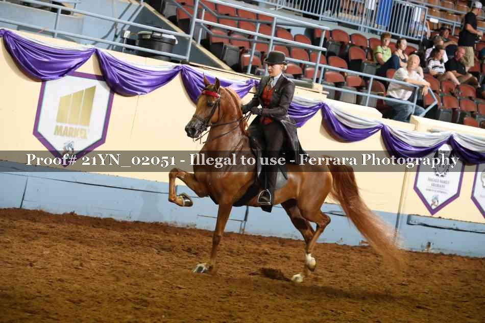 Proof 21YN_02051