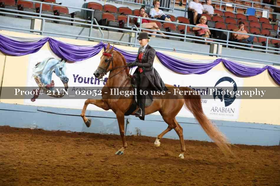 Proof 21YN_02052