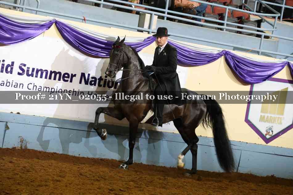 Proof 21YN_02055