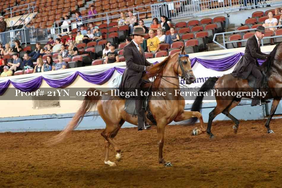 Proof 21YN_02061