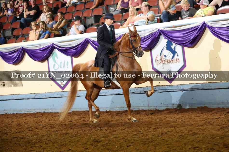 Proof 21YN_02064