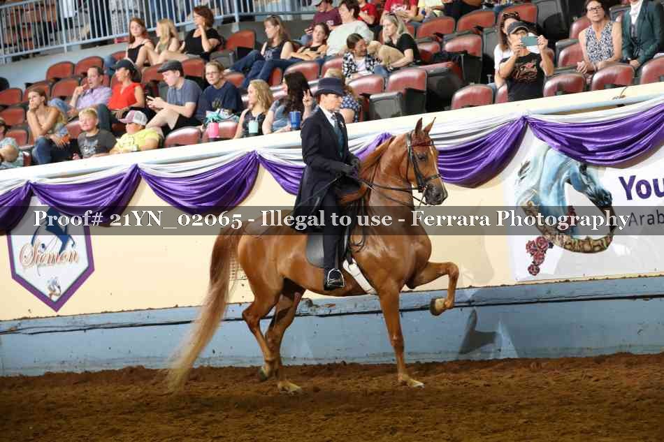 Proof 21YN_02065