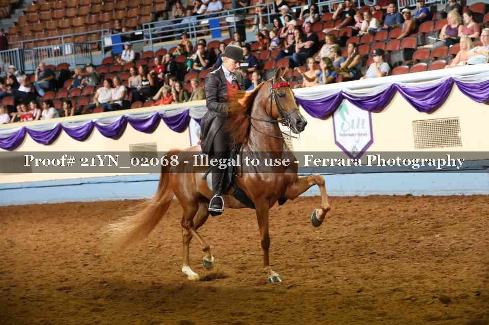 Proof 21YN_02068