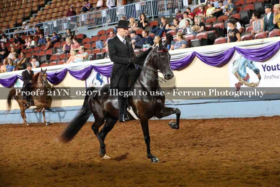 Proof 21YN_02071