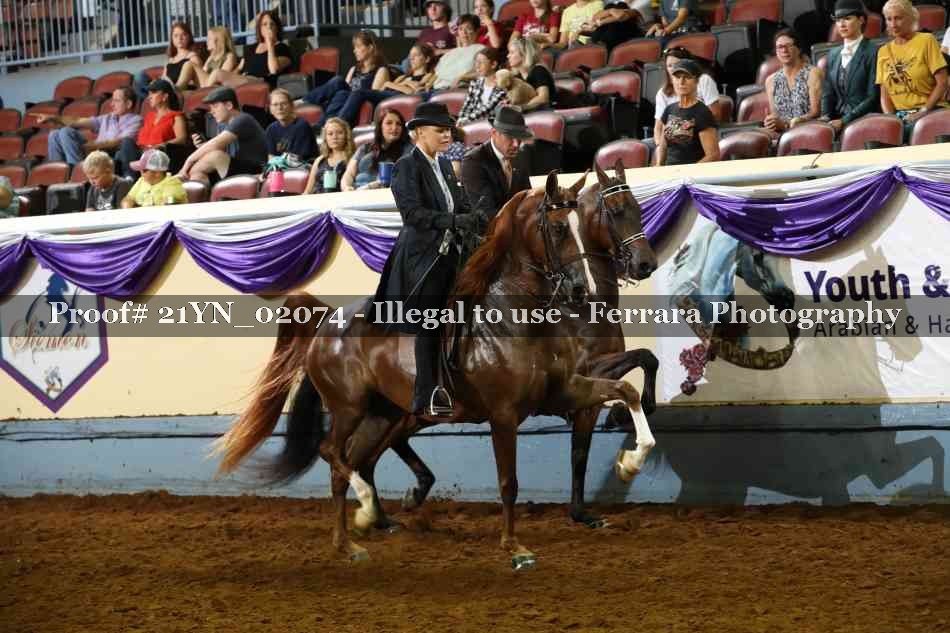 Proof 21YN_02074
