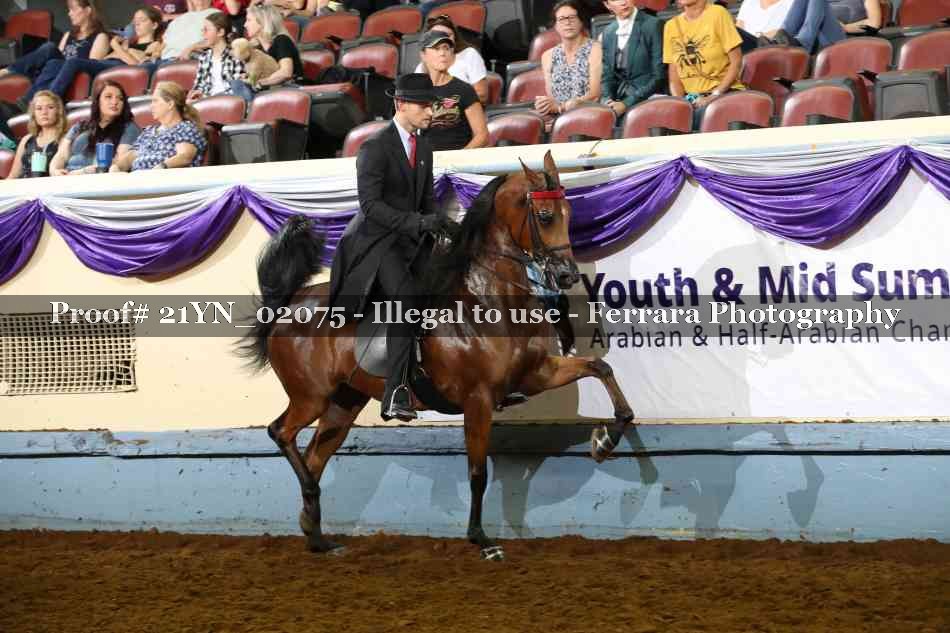 Proof 21YN_02075