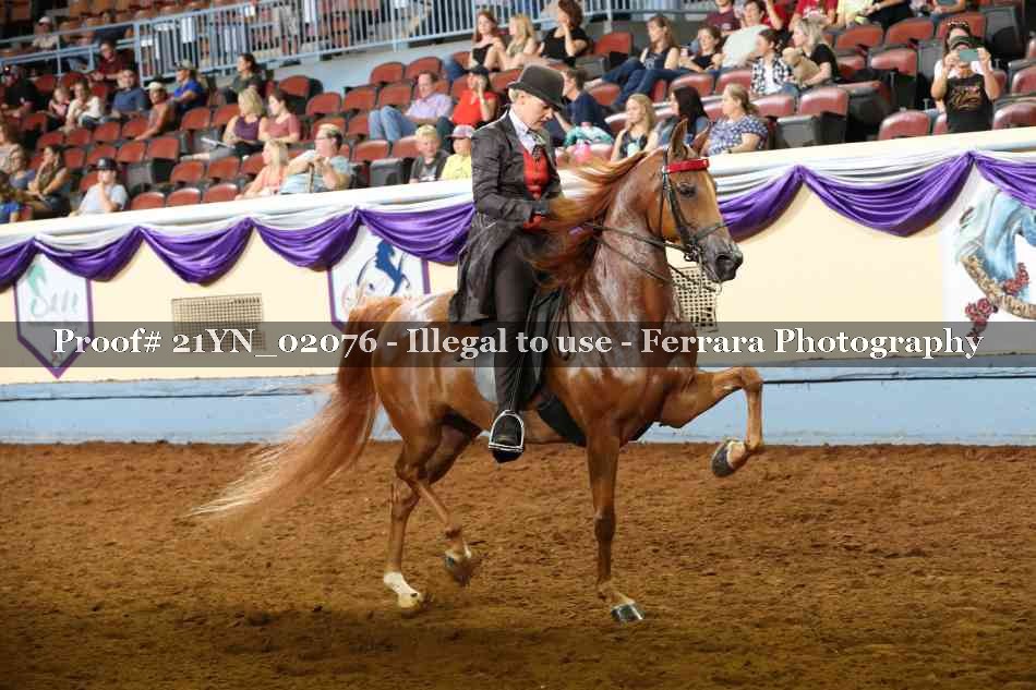 Proof 21YN_02076