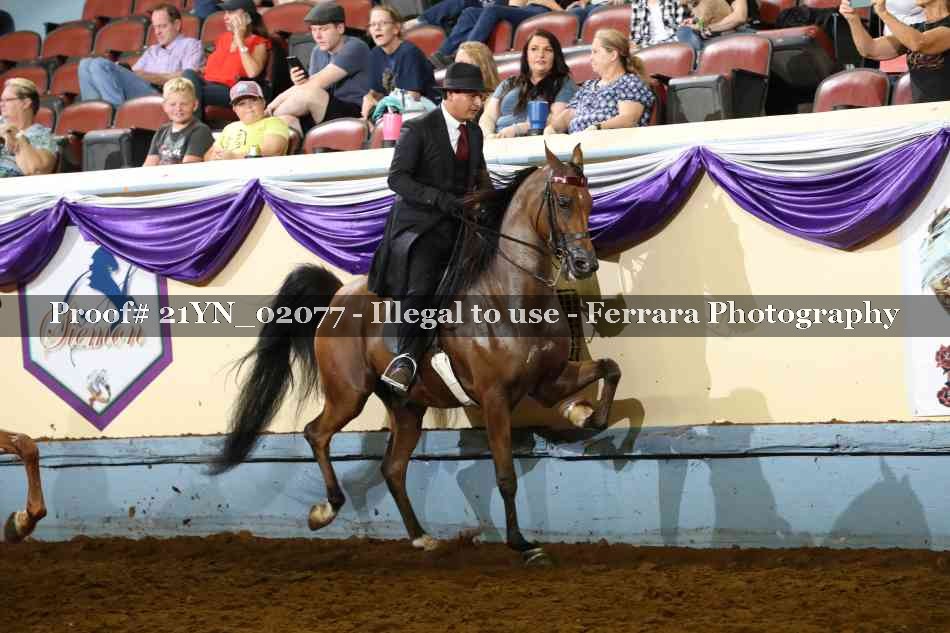 Proof 21YN_02077