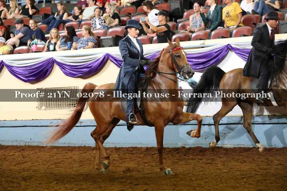 Proof 21YN_02078