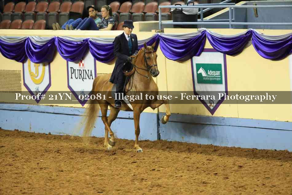 Proof 21YN_02081