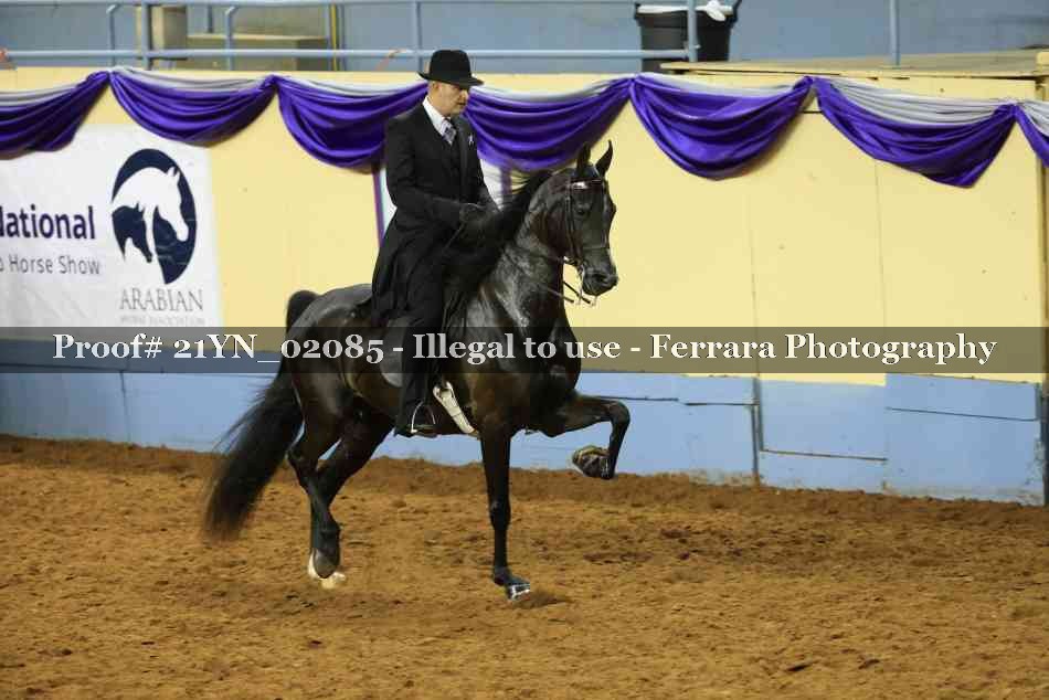Proof 21YN_02085