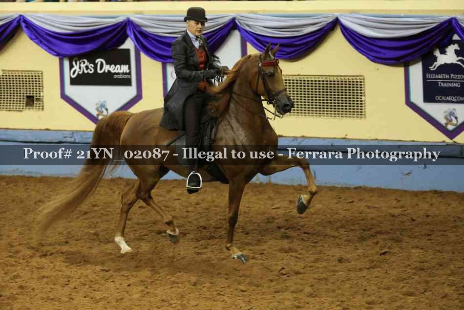 Proof 21YN_02087