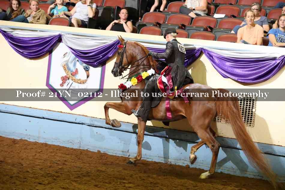 Proof 21YN_02112