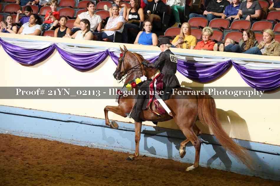 Proof 21YN_02113