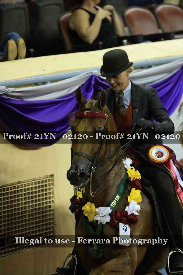 Proof 21YN_02120