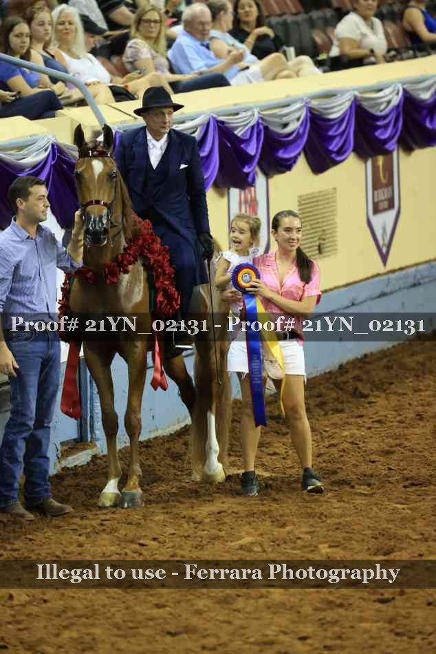 Proof 21YN_02131