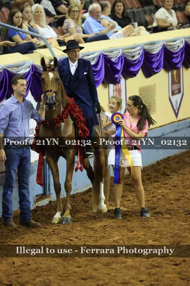 Proof 21YN_02132