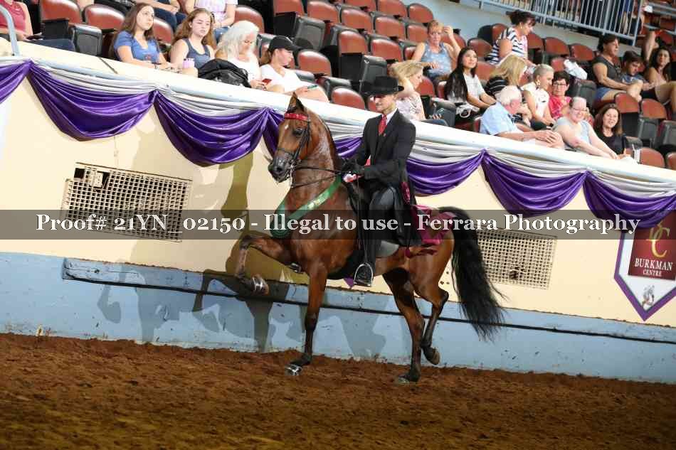 Proof 21YN_02150