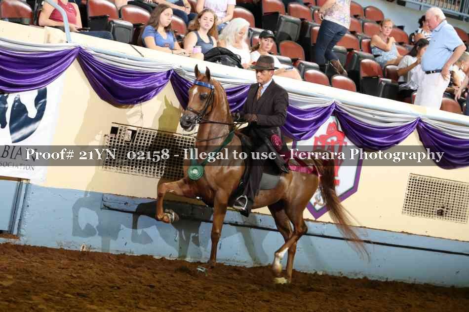 Proof 21YN_02158