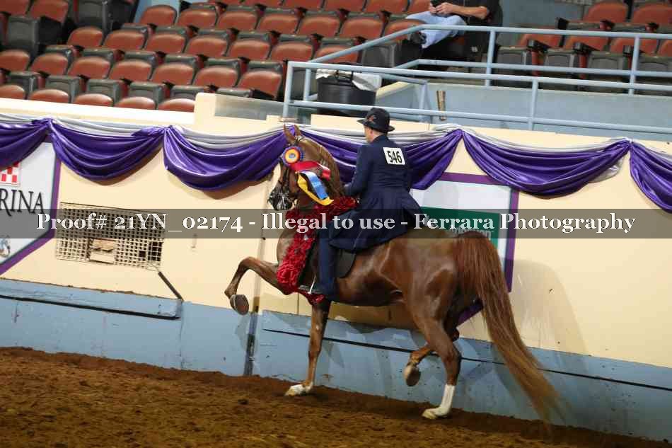 Proof 21YN_02174