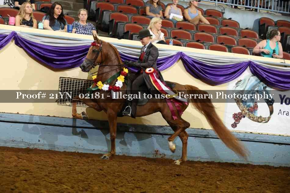 Proof 21YN_02181