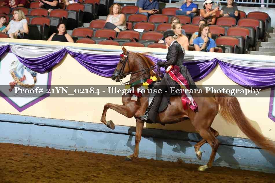 Proof 21YN_02184