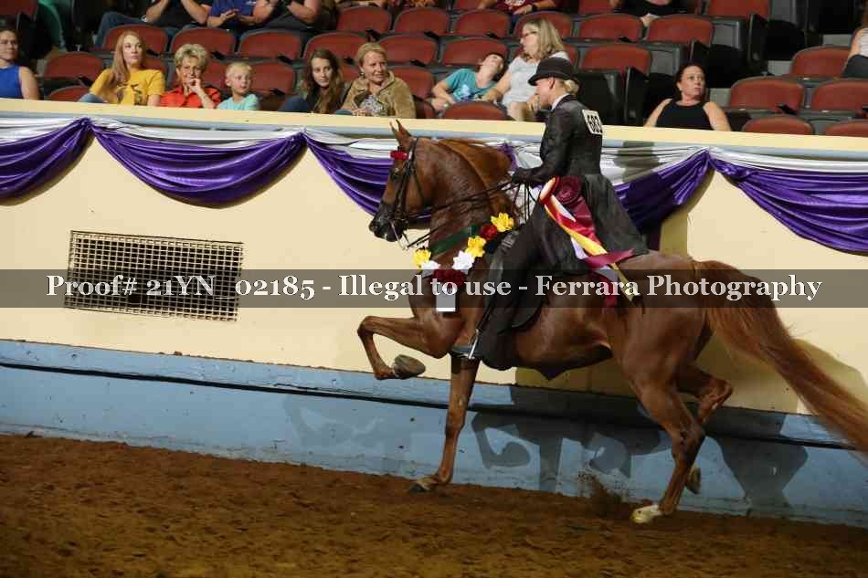 Proof 21YN_02185