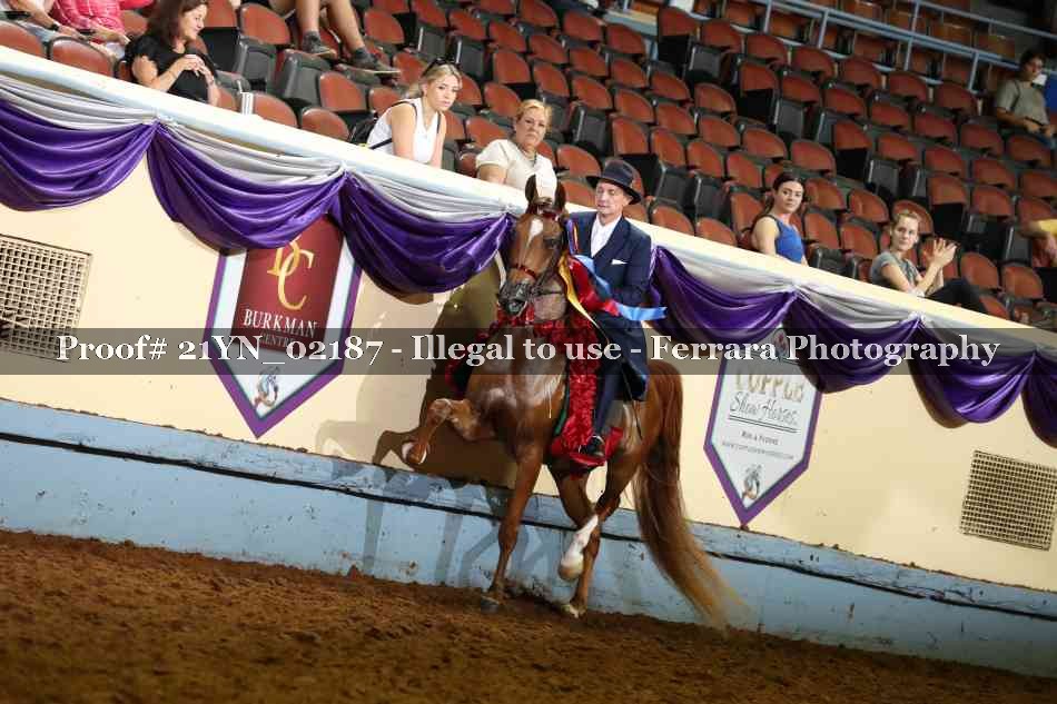 Proof 21YN_02187
