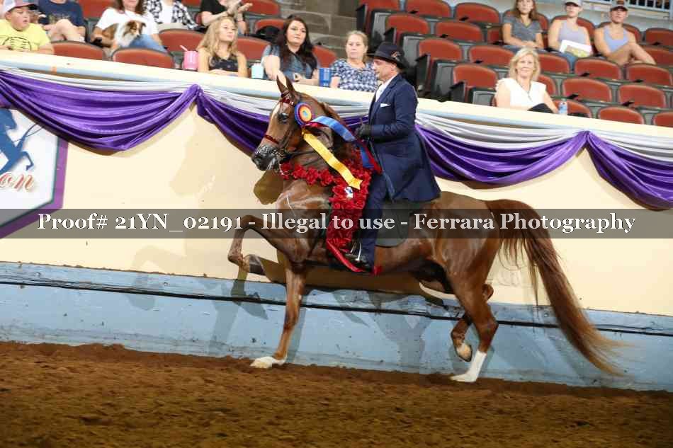 Proof 21YN_02191