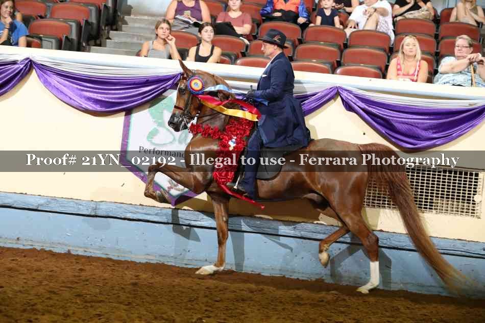 Proof 21YN_02192