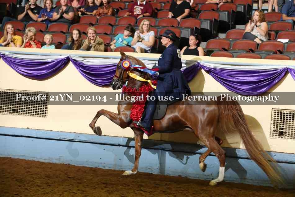 Proof 21YN_02194
